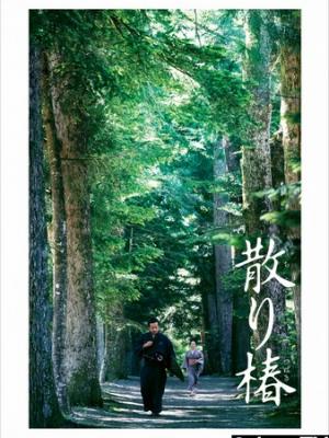 偷偷藏不住